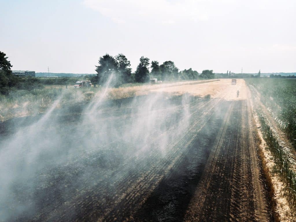 Einsatzkräfte beim Löschen eines Flurbrands im Löschgebiet Zettling – gemeinsame Brandbekämpfung durch mehrere Feuerwehren