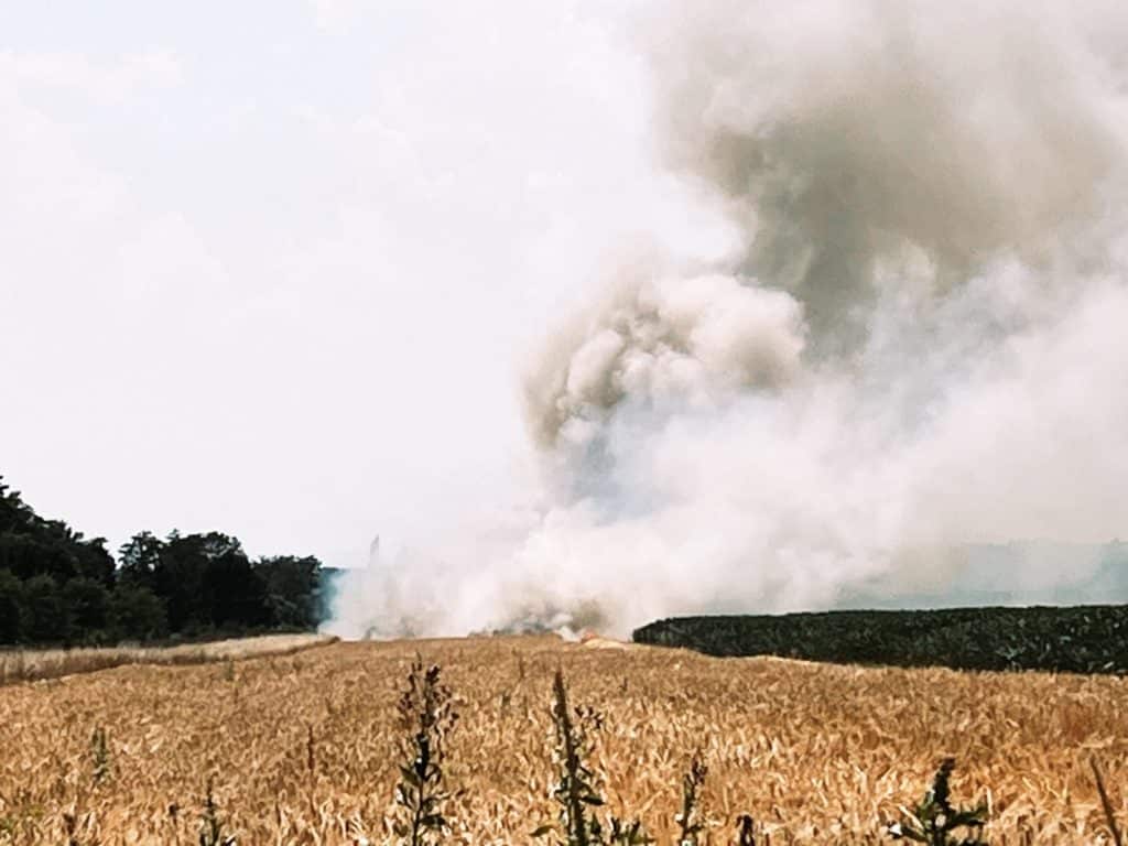 Einsatzkräfte beim Löschen eines Flurbrands im Löschgebiet Zettling – gemeinsame Brandbekämpfung durch mehrere Feuerwehren