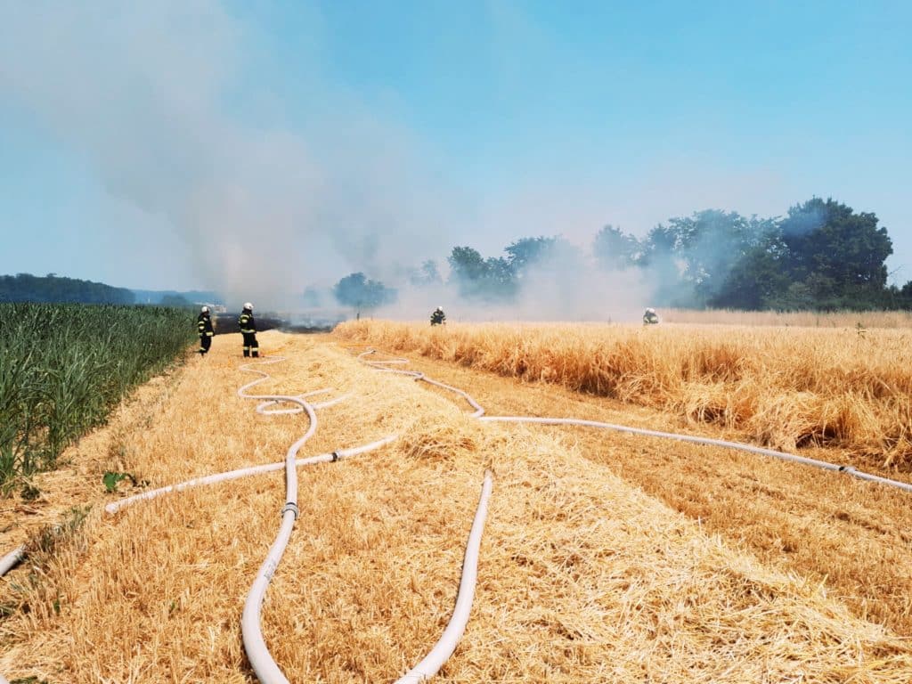 Einsatzkräfte beim Löschen eines Flurbrands im Löschgebiet Zettling – gemeinsame Brandbekämpfung durch mehrere Feuerwehren