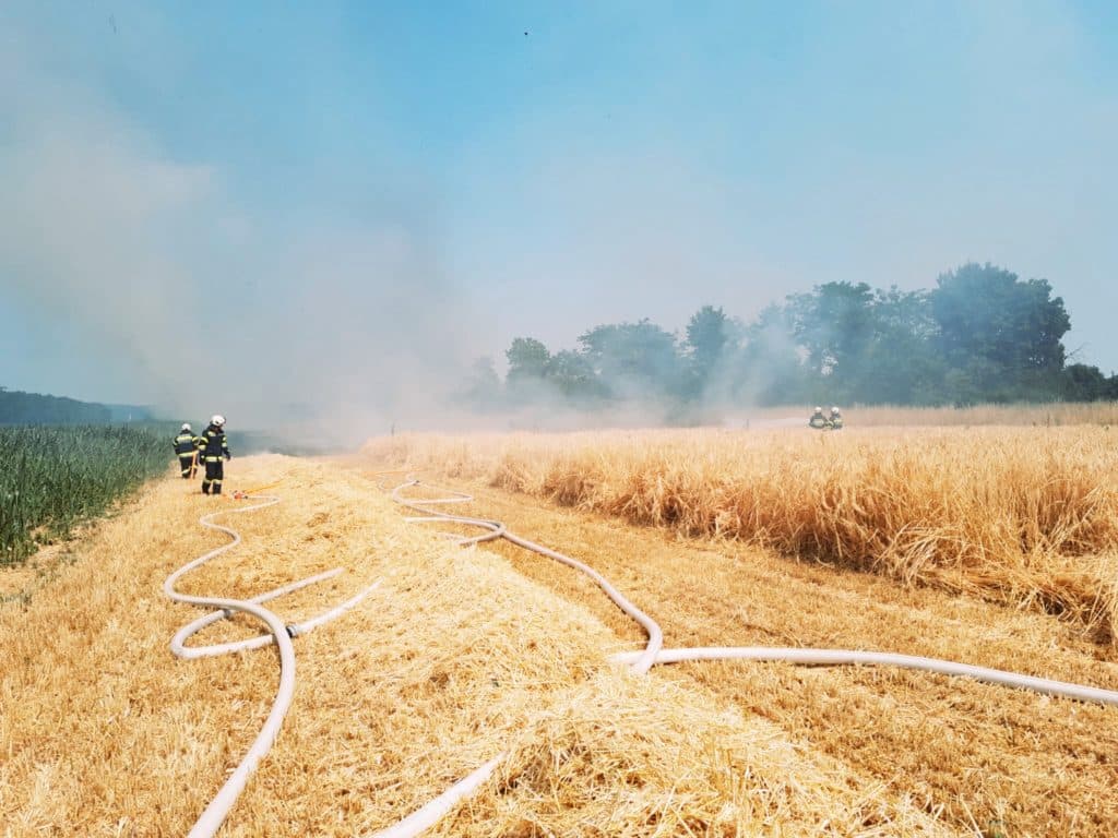 Einsatzkräfte beim Löschen eines Flurbrands im Löschgebiet Zettling – gemeinsame Brandbekämpfung durch mehrere Feuerwehren