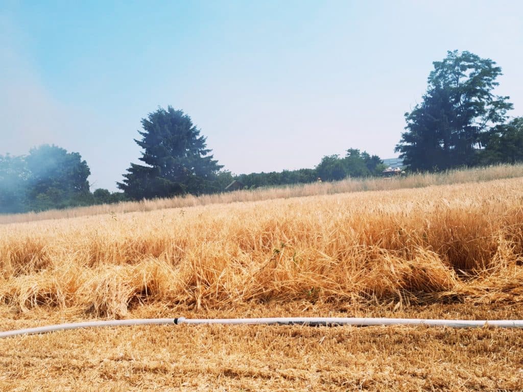 Einsatzkräfte beim Löschen eines Flurbrands im Löschgebiet Zettling – gemeinsame Brandbekämpfung durch mehrere Feuerwehren