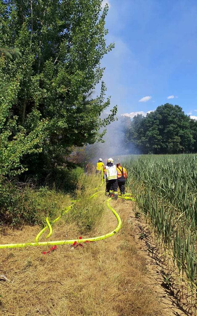 Feuerwehr Zettling beim Einsatz am 29.06.2025 – Brandeinsätze im Schachenwald, umfassender Löschangriff und Kontrolle mit Wärmebildkamera