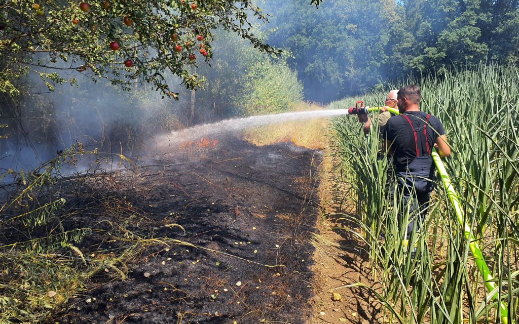 Feuerwehr Zettling beim Einsatz am 29.06.2025 – Brandeinsätze im Schachenwald, umfassender Löschangriff und Kontrolle mit Wärmebildkamera