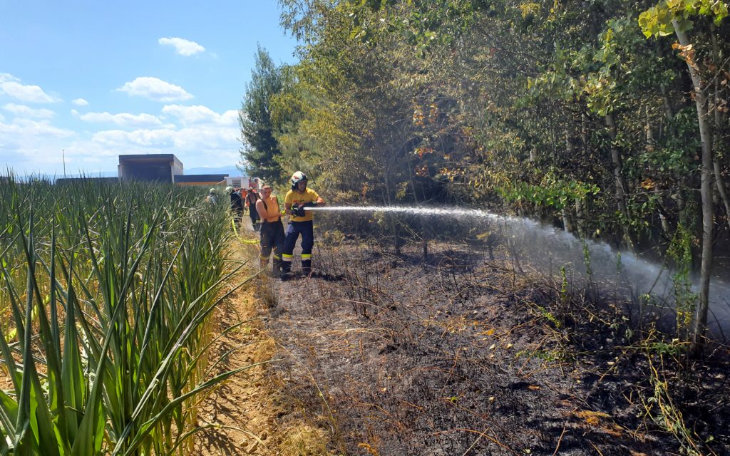 Feuerwehr Zettling beim Einsatz am 29.06.2025 – Brandeinsätze im Schachenwald, umfassender Löschangriff und Kontrolle mit Wärmebildkamera