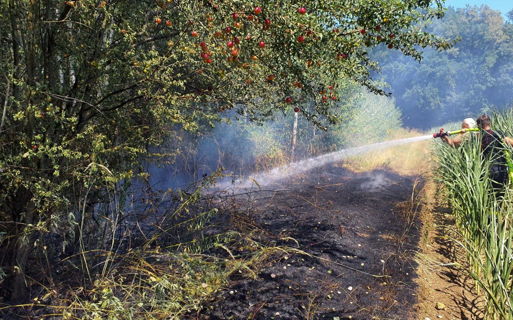 Feuerwehr Zettling beim Einsatz am 29.06.2025 – Brandeinsätze im Schachenwald, umfassender Löschangriff und Kontrolle mit Wärmebildkamera