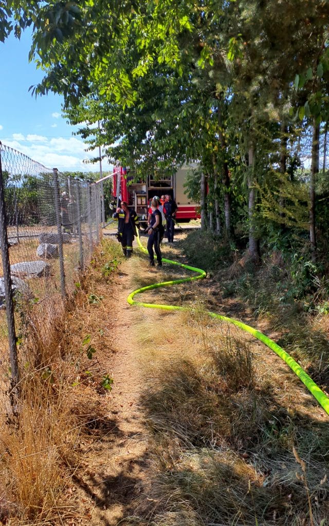 Feuerwehr Zettling beim Einsatz am 29.06.2025 – Brandeinsätze im Schachenwald, umfassender Löschangriff und Kontrolle mit Wärmebildkamera