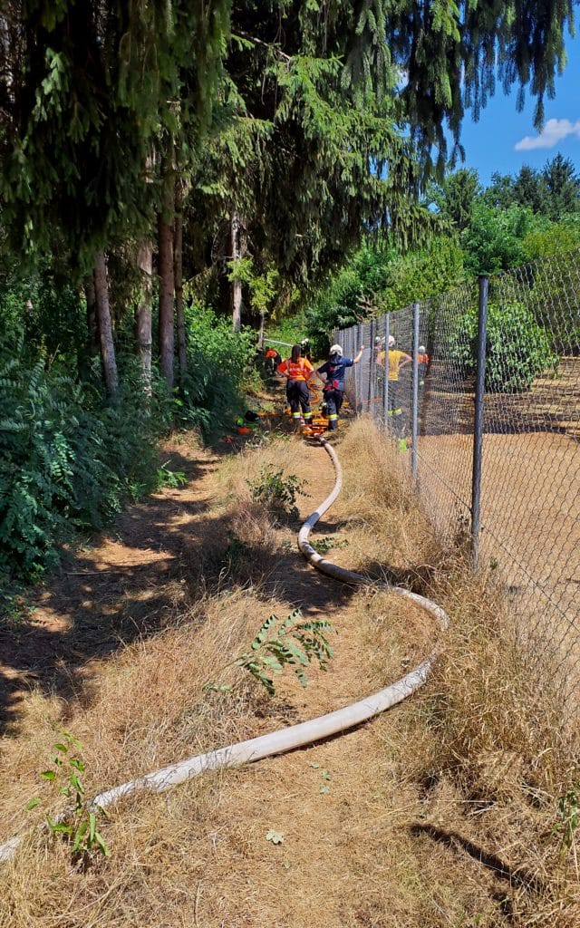 Feuerwehr Zettling beim Einsatz am 29.06.2025 – Brandeinsätze im Schachenwald, umfassender Löschangriff und Kontrolle mit Wärmebildkamera