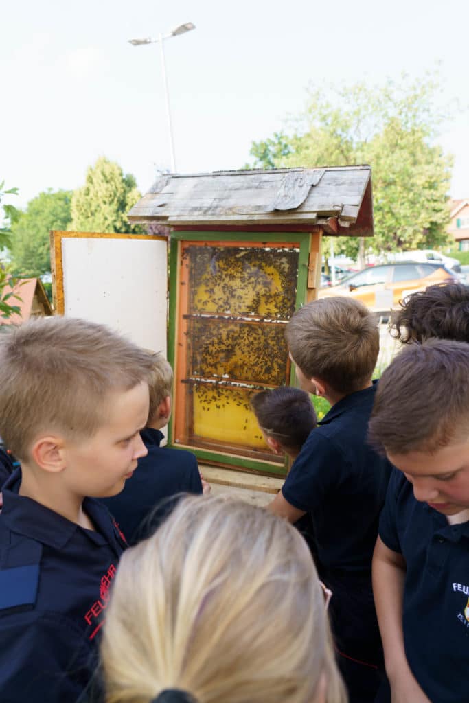 Abschlussfeier der Bienenwiese der Feuerwehrjugend Zettling am 11. Juni 2025 – mit Unterstützern, Sponsoren, Bürgermeister Dr. Matthias Pokorn, Vizebürgermeisterin Ingrid Baumhackl und gemütlichem Ausklang an der Feuerschale
