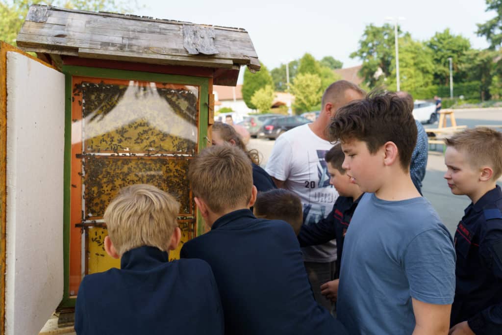 Abschlussfeier der Bienenwiese der Feuerwehrjugend Zettling am 11. Juni 2025 – mit Unterstützern, Sponsoren, Bürgermeister Dr. Matthias Pokorn, Vizebürgermeisterin Ingrid Baumhackl und gemütlichem Ausklang an der Feuerschale