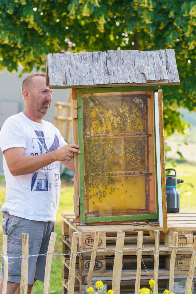 Abschlussfeier der Bienenwiese der Feuerwehrjugend Zettling am 11. Juni 2025 – mit Unterstützern, Sponsoren, Bürgermeister Dr. Matthias Pokorn, Vizebürgermeisterin Ingrid Baumhackl und gemütlichem Ausklang an der Feuerschale