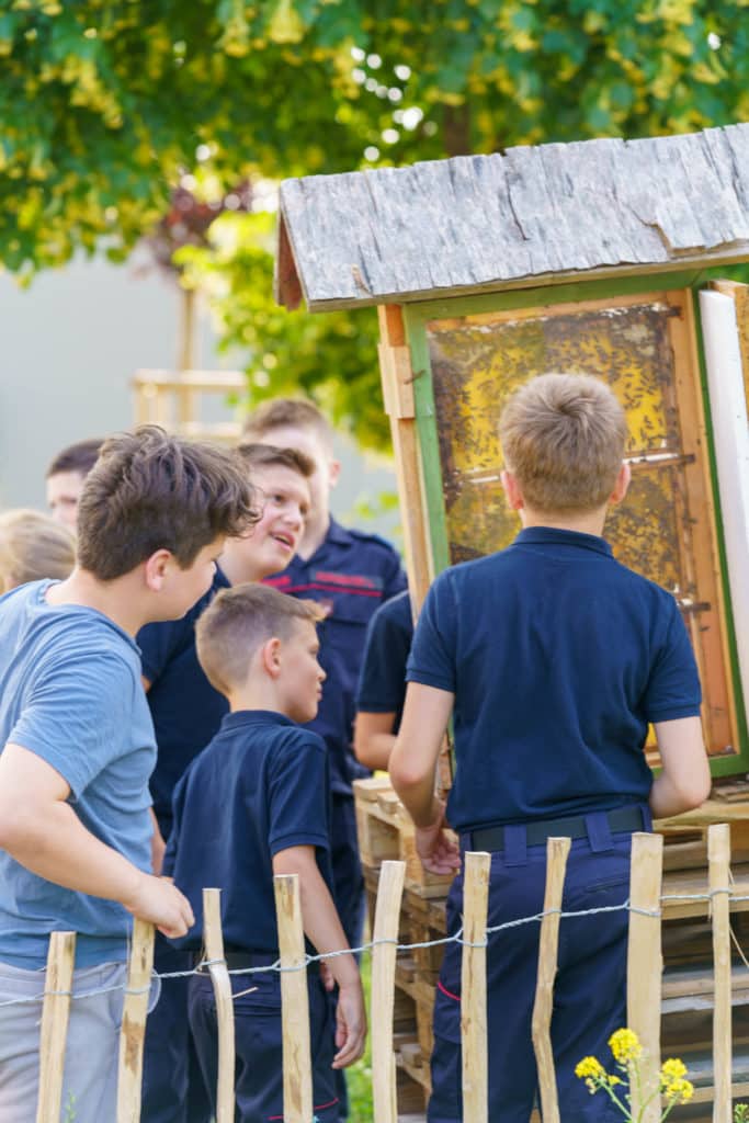 Abschlussfeier der Bienenwiese der Feuerwehrjugend Zettling am 11. Juni 2025 – mit Unterstützern, Sponsoren, Bürgermeister Dr. Matthias Pokorn, Vizebürgermeisterin Ingrid Baumhackl und gemütlichem Ausklang an der Feuerschale
