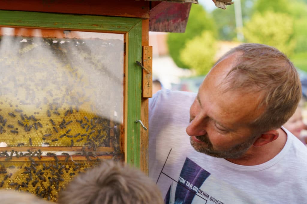 Abschlussfeier der Bienenwiese der Feuerwehrjugend Zettling am 11. Juni 2025 – mit Unterstützern, Sponsoren, Bürgermeister Dr. Matthias Pokorn, Vizebürgermeisterin Ingrid Baumhackl und gemütlichem Ausklang an der Feuerschale
