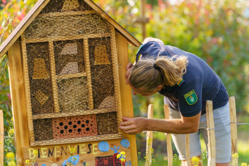 Abschlussfeier der Bienenwiese der Feuerwehrjugend Zettling am 11. Juni 2025 – mit Unterstützern, Sponsoren, Bürgermeister Dr. Matthias Pokorn, Vizebürgermeisterin Ingrid Baumhackl und gemütlichem Ausklang an der Feuerschale